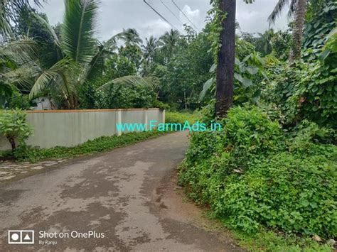 28 Cents Converted Land And Layout Approved Land For Sale In Karkala