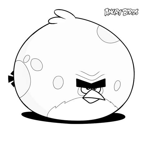 Dibujos De Angry Birds Para Colorear Educanimando