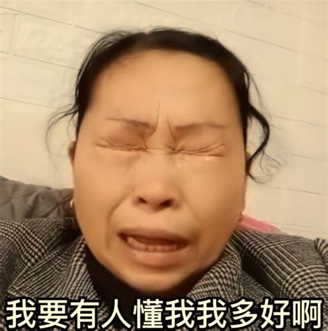 要是有人懂我那该多好啊 比亚迪 002594 股吧 东方财富网股吧