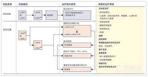 柳叶刀最新综述：慢阻肺的诊断和治疗进展 研究进展 医咖会