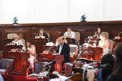 Concejo Deliberante De La Plata Un Repudio A Javier Milei Dividió A