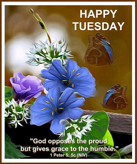 Happy Tuesday Blessings Good Morning Happy Tuesday Quotes