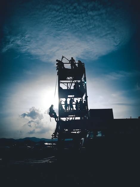 Premium Photo Low Angle View Of Silhouette Crane Against Sky