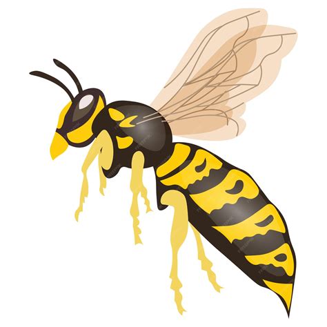 Premium Vector Wasp Insect Icon Illustration Vector