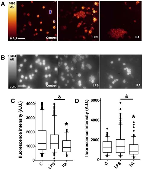 Fluorescence Intensity Imaging By Confocal Microscopy A And Standard