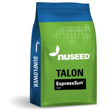 NuSun Sunflowers | Nuseed Canada