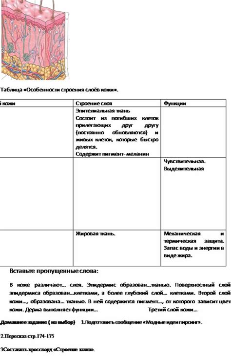 Открытый урок по биологии в 8 классе «Строение и функции кожи». Формат ...