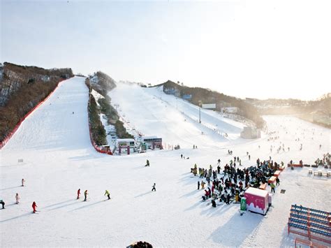 Winter Korea Vivaldi Park Ski Resort Experience And Nami Island Tour