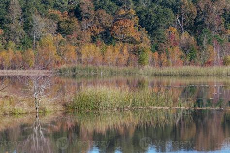 A Colorful Wetland Area In East Texas During Autumn 15748483 Stock