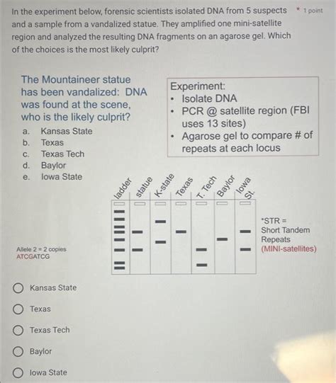 Solved In The Experiment Below Forensic Scientists Isolated Chegg