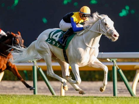 【阪神jf見どころ】ソダシ、白毛馬初のgi制覇なるか 競馬ニュース Netkeiba