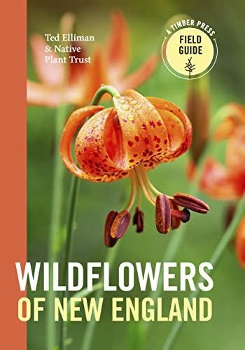 EBOOK Wildflowers of New England A Timber Press maleahnyuakdodsonのブログ