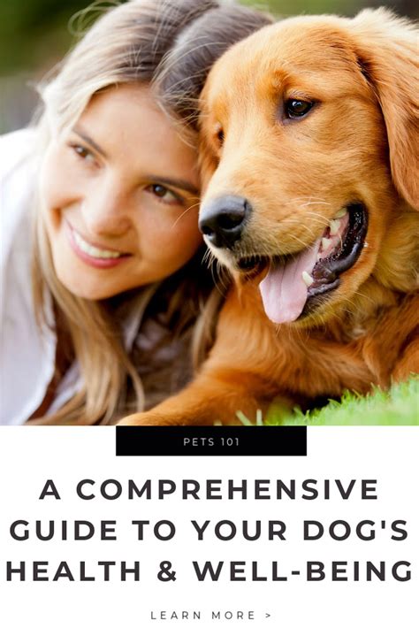 A Comprehensive Guide To Your Dogs Health And Well Being