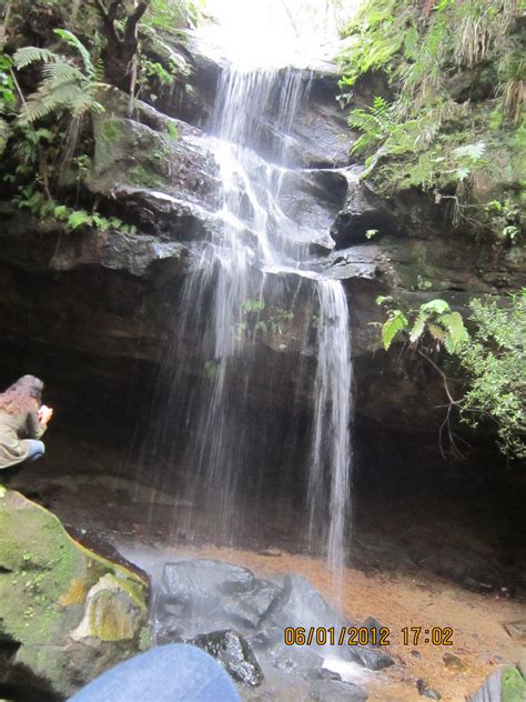 How Do Our Fears Manifest? | Knowing In Nature