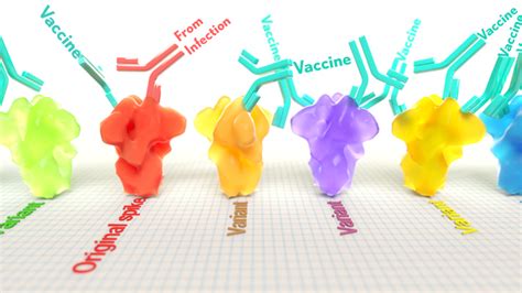 spike protein – NIH Director's Blog