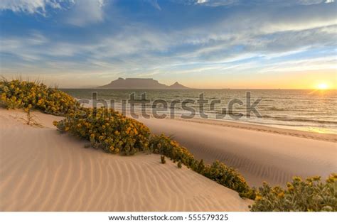 Cape Town Beach Sunset Stock Photo (Edit Now) 555579325