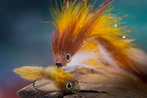 Fly Tying Brammer S Trout Nugget Articulated Streamer Off