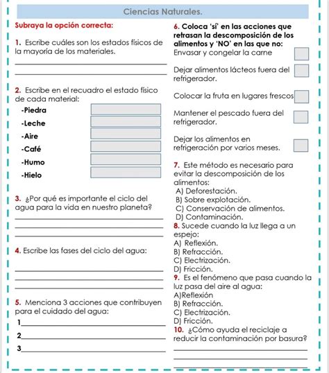 Evaluaci N De Ciencias Naturales Cuarto Grado Thing Templates Fifth