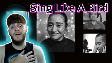 Fly Like A Bird Morissette Amon Reaction Mariah Carey Cover Youtube