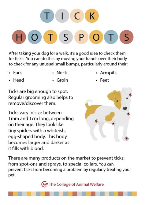 Pin on dog grooming resources