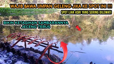 MANCING DISPOT INI BIKIN KETAGIHAN TERUS SPOT LIAR IKAN MAS DAN NILA