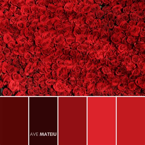 10 Valentines Day Color Palettes 2020 Free Colors Guide Ave Mateiu