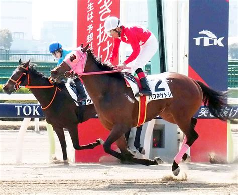 66歳の大井・的場文男騎手が地方競馬通算7400勝達成「暇になっちゃうので体が続く限りやります」 スポーツ報知