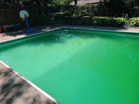 Tips For A Green Pool - Everclear Pools SA