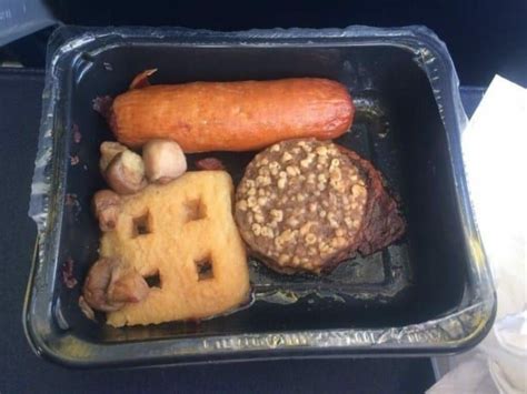 Plane Awful The Worst Airline Meals Revealed Which News Airline