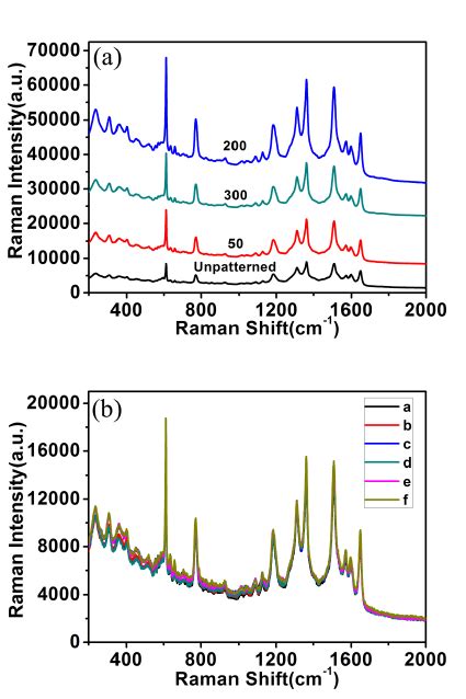 A Raman Spectra Of R6g Concentration Of 10 6 M Using Aligned Ag