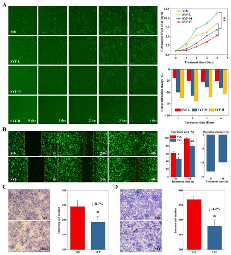 Syf Inhibited Breast Cancer Cell Proliferation Migration And