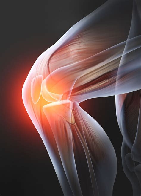 PRP Therapy For Knee Pain Injuries In Lehigh Valley PA