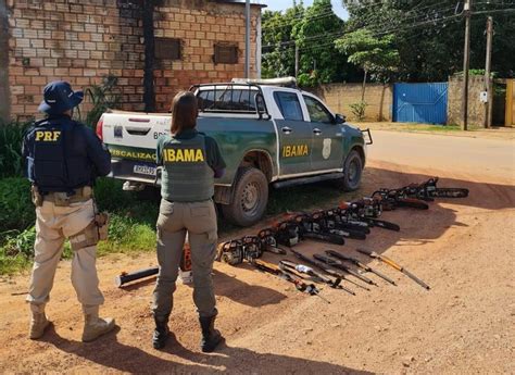 AÇÃo Conjunta Prf E Ibama Realizam Operação De Combate Ao Desmatamento