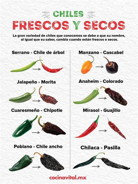 Tipos De Chiles Secos Clearance Cheap | www.bharatagritech.com