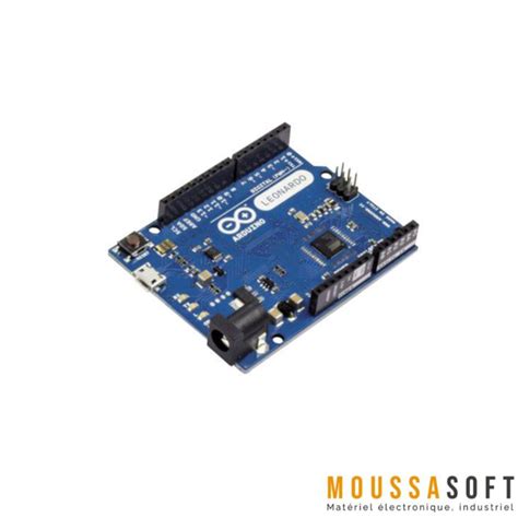 Arduino Leonardo Avec Cable Usb Moussasoft