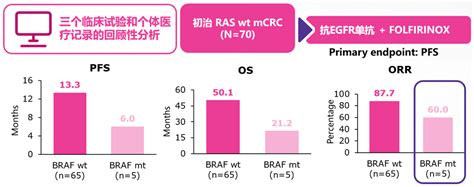 毕锋教授 Braf V600e突变mcrc患者治疗的新进展与新视角 遗传优生网