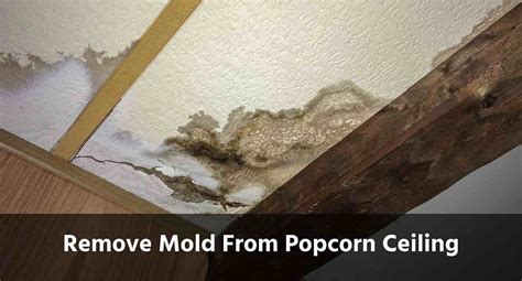 How To Remove Mildew From Walls And Ceilings Shelly Lighting