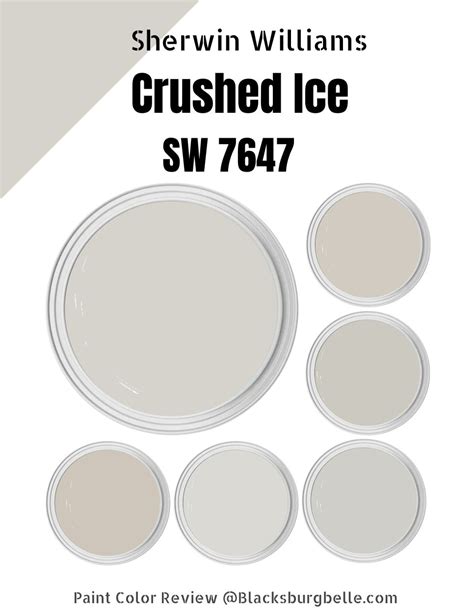 Sherwin Williams Austere Gray SW 6184 Review Inspiration