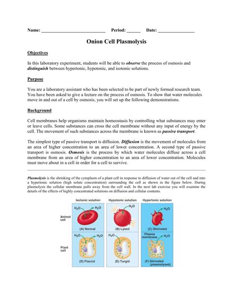 Onion Cell Plasmolysis Lab