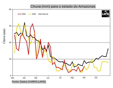 Entenda o fenômeno que aumenta a seca na Amazônia e leva a chuva ao