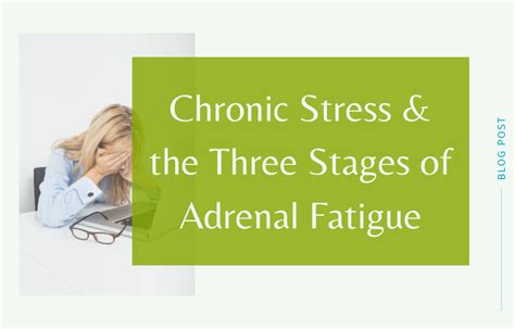 Chronic Stress And The Three Stages Of Adrenal Fatigue Dragonfly360