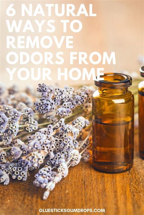 Get Rid Of Bad House Smells Naturally With These 6 Tips House Smells