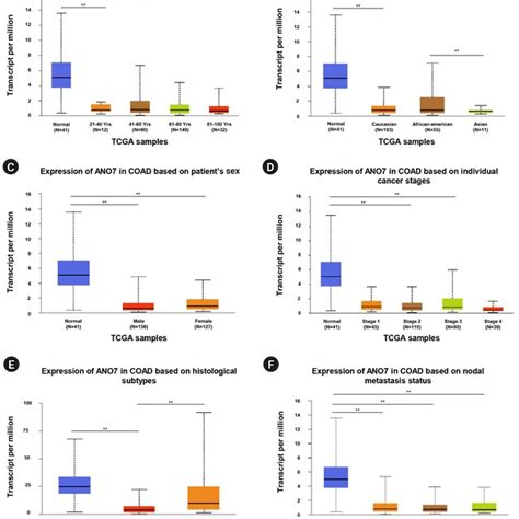 The Ano Mrna Expression In Coad Patients Analyzed In Ualcan Database