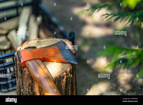 Baum Mit Axt Schneiden Fotos Und Bildmaterial In Hoher Aufl Sung Alamy