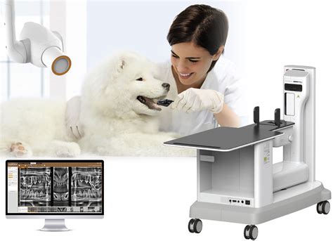 Veterinary Digial Intraoral X Ray Solution