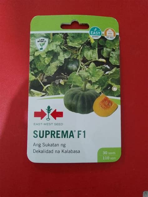 Suprema F Hybrid Kalabasa Seeds By East West Seeds Lazada Ph