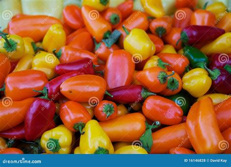 Fresh Habanero Peppers Stock Photo Image Of Color Eating 16146828