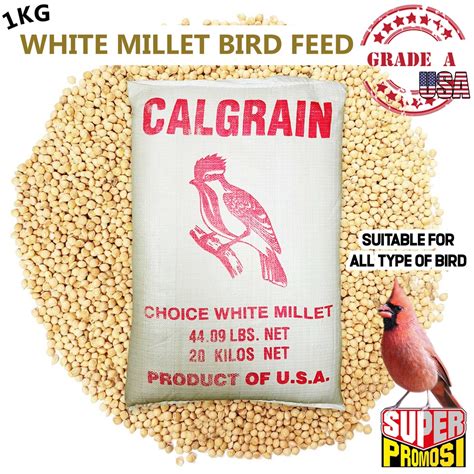 1kg Calgrain Choice White Millet Seed Bird Feed Usa Gred A Bird Food