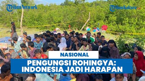 Pengungsi Rohingya Di Deli Serdang Bangladesh Bahaya Indonesia Jadi