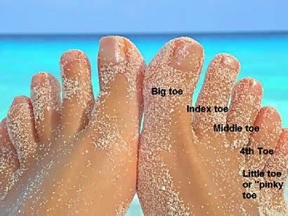 Basic English Blog: Fingers and Toes' Names Images